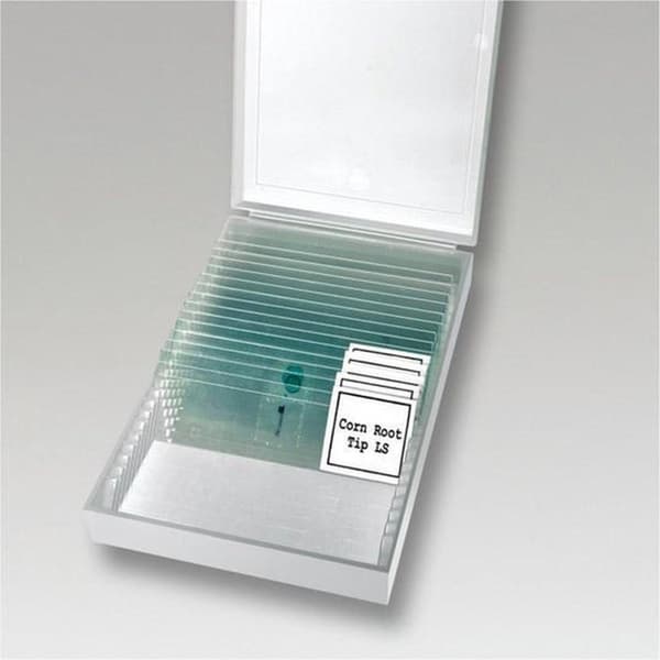 Bresser LCD-mikroskop 8,9 cm (3,5") - Mikroskop - farve