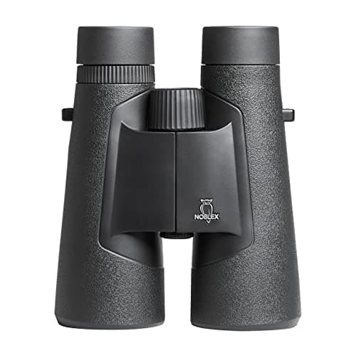 Noblex NF 8x56 inception (NB50593)