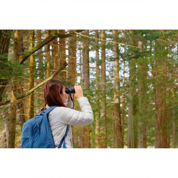 Pentax Kikkert Jupiter 8x40 Gylden