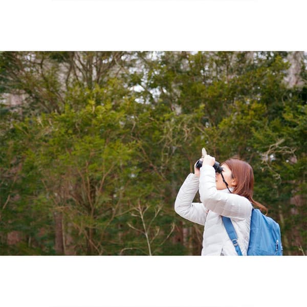 Pentax Kikkert Jupiter 8x40 Gylden