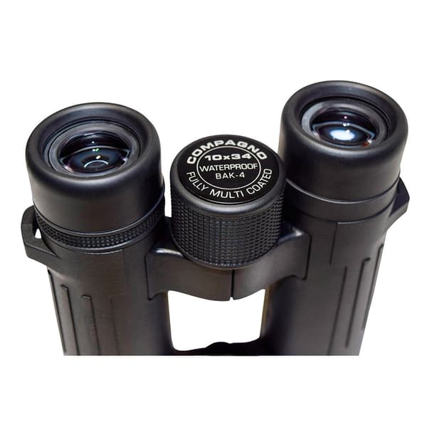 Braun Photo Kikare Compagno 10x34 Wp Svart