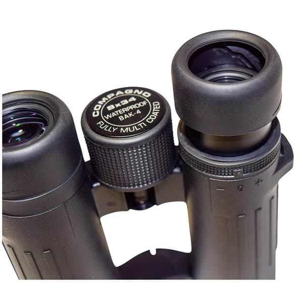 Braun Photo Kikkert Compagno 8x34 Wp Sort