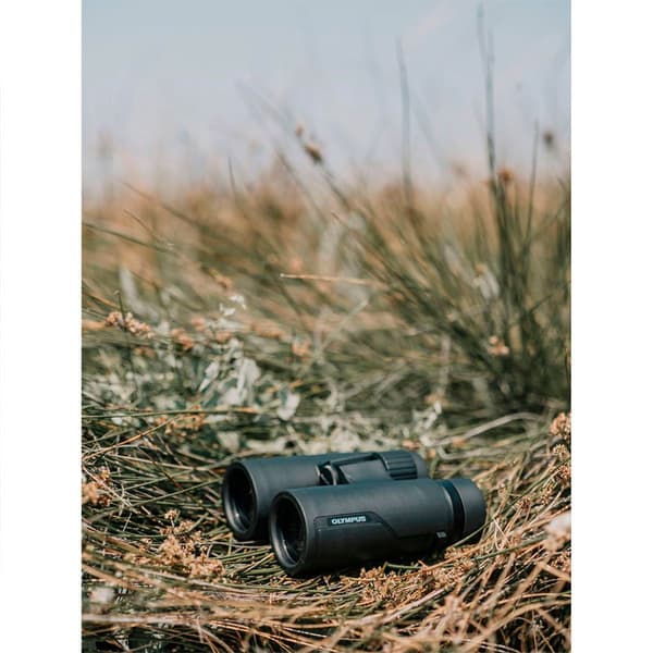 Olympus Kikkert Pro 10x42 Gylden