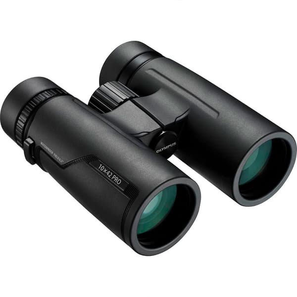 Olympus Kikkert Pro 10x42 Gylden