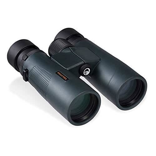 Praktica Pioneer R 8x42 Kikkerter - blå - PRR0842BL