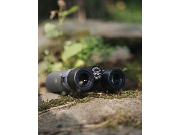 Focus Observer 8x42 ED kikkert