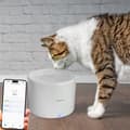 Miniatyrbilde 3 av 7: Tellur Dispenser Apa Smart, 2L, alb