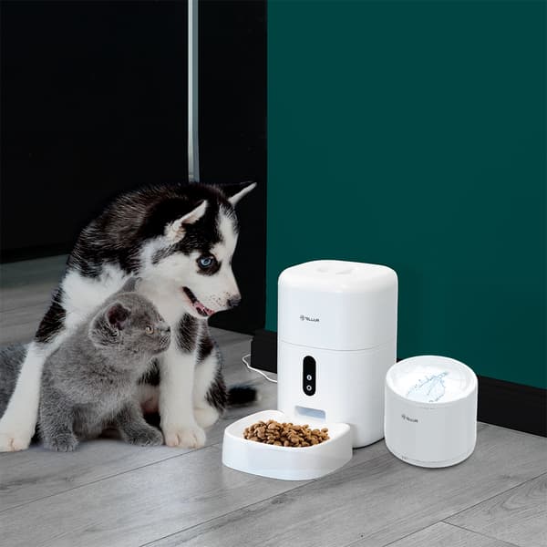 Tellur Dispenser Apa Smart, 2L, alb