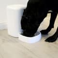 Pikkukuva 8 / 10: Tellur Dispenser Mancare Smart, 4L, alb
