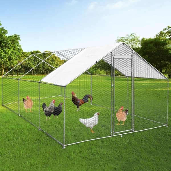Chicken Run 4m x 6m x 2m | MonsterShop