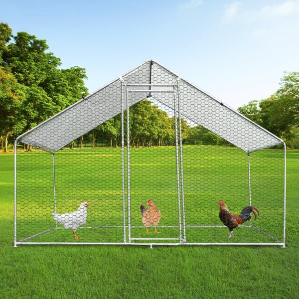 Kyllingefarm med Vandtæt Tag 4 m x 2 m x 2 m