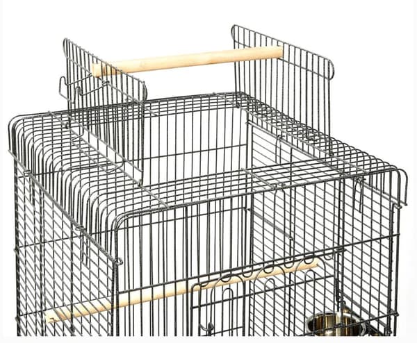 Topmast papegøje bur Pionus