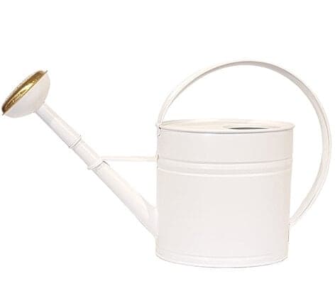 Watering Can White 4L