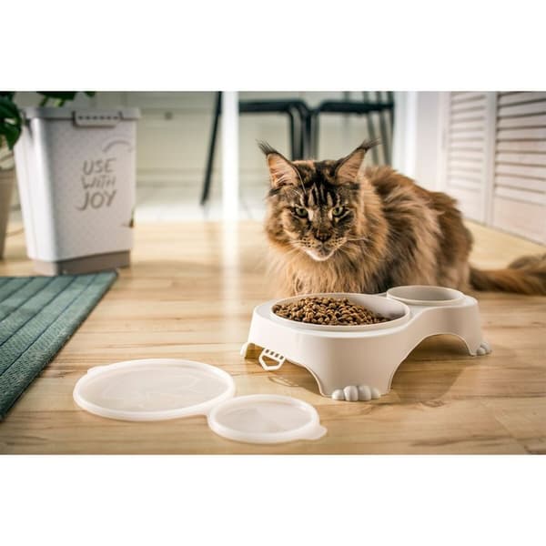 Hundmatare Rotho Grå Plast