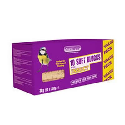 Suet To Go Suet Blocks With Insect Bird Treats (Pack Of 10)