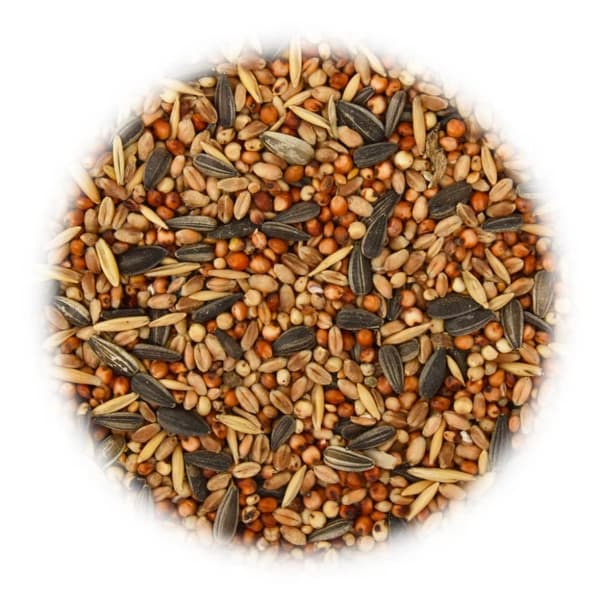 Fuglefoder - Living fuglefoder 25 kg