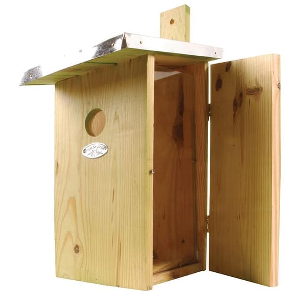 Blåmesar observatorium holk
