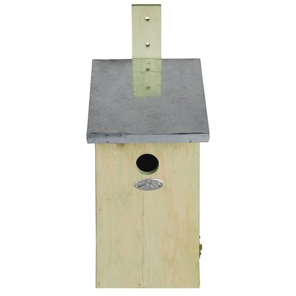 Blåmesar observatorium holk