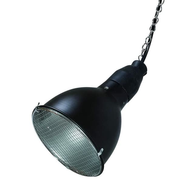 LUCKY REPTILE Bright Sun Värmelampa Set med kompatibel sockel och omkopplare för vattenpaddor 70 W - BSST-70