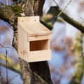 Miniatyrbild 5 av 6: Relaxdays fågelholk i trä, hängande fågelhus, mesar, semi-öppen, HxBxD 20 x 12 x 15,5 cm, natur