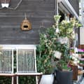 Miniatyrbild 5 av 6: Relaxdays fågelbo, dekorativt bo, hängande, flätade kokosfibrer, Trädgård, Balkong och andra designer, natur