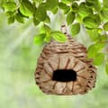 Miniatyrbild 2 av 6: Relaxdays fågelbo, dekorativt bo, hängande, flätade kokosfibrer, Trädgård, Balkong och andra designer, natur