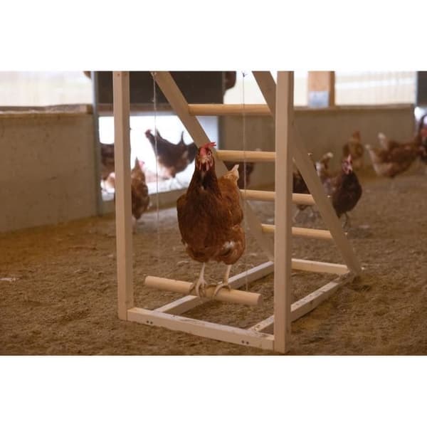 Kycklingklättertorn - KERBL - 85 x 55 x 76 cm - Med gunga - Robust stege
