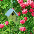Miniatyrbild 2 av 6: Relaxdays Fågelhus med färgglad träbon och upphängning HxlxB: 16 x 15 x 11 cm, grön