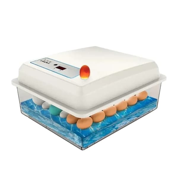 �g Inkubator, Fuldt Automatisk Betjening, Egnet til Forskellige Fugle�g, 20 �g