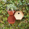 Miniatyrbillede 3 af 7: Capi fuglehus Hive 1 19x23x20 cm rundt hul brun