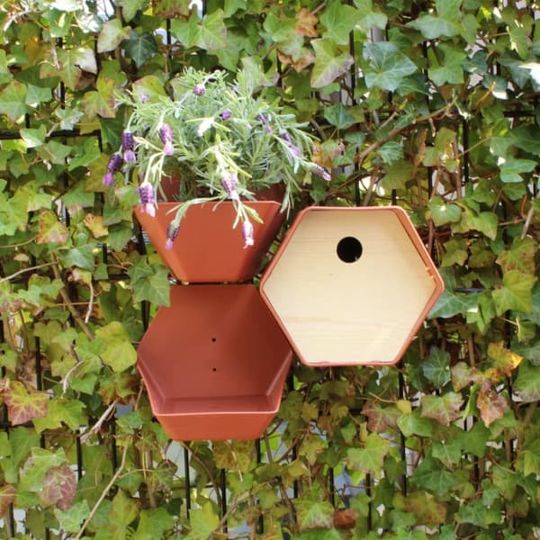 Capi fuglehus Hive 1 19x23x20 cm rundt hul brun