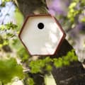 Miniatyrbillede 1 af 7: Capi fuglehus Hive 1 19x23x20 cm rundt hul brun