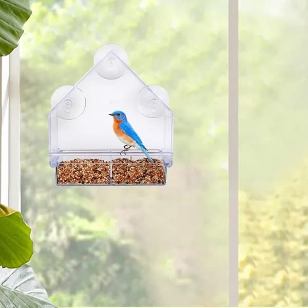 Lollanda Fågelmatare i akryl med sugpropp – fågelbad & matskål för fåglar, 15×5.5×16 cm