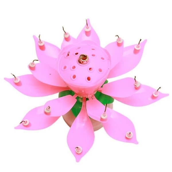 Födelsedagsljus - Lotus - Rosa - Musik - Dekoration - 14 små ljus