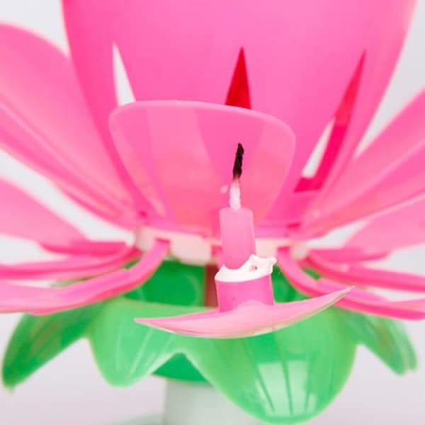 Födelsedagsljus - Lotus - Rosa - Musik - 8 små ljus - Festdekoration