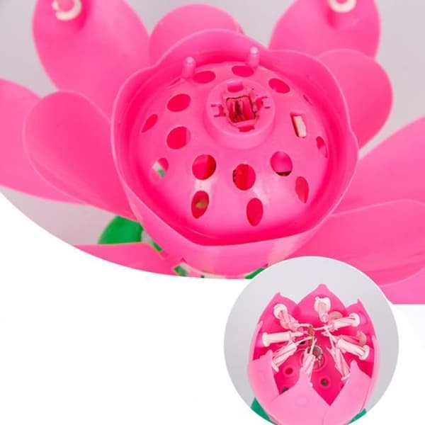 Födelsedagsljus - Lotus - Rosa - Musik - 8 små ljus - Festdekoration