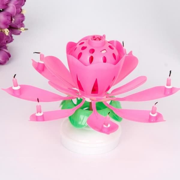 Födelsedagsljus - Lotus - Rosa - Musik - 8 små ljus - Festdekoration