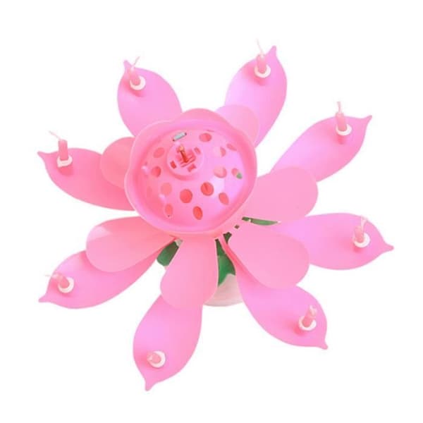 Födelsedagsljus - Lotus - Rosa - Musik - 8 små ljus - Festdekoration