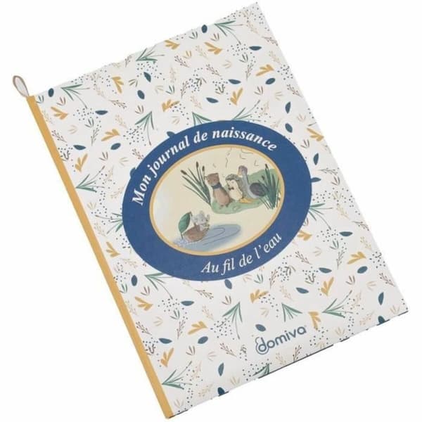 Albumi Domiva AU FIL DE L'EAU
