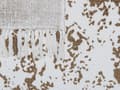 Miniatyrbild 5 av 5: Filt Beige Brun Bomull 130 x 165 cm Sängöverkast Boho-stil