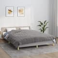 Pikkukuva 2 / 6: vidaXL Painopeitto harmaa 200x200 cm 13 kg kangas