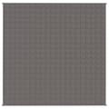 Pikkukuva 1 / 6: vidaXL Painopeitto harmaa 200x200 cm 13 kg kangas