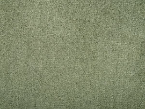 Fleecetæppe Grøn Polyester 200 x 220 cm Blød Hyggetæppe til Sofaen Plaid til Seng Dekoration Moderne Tilbehør Varm Tæppe