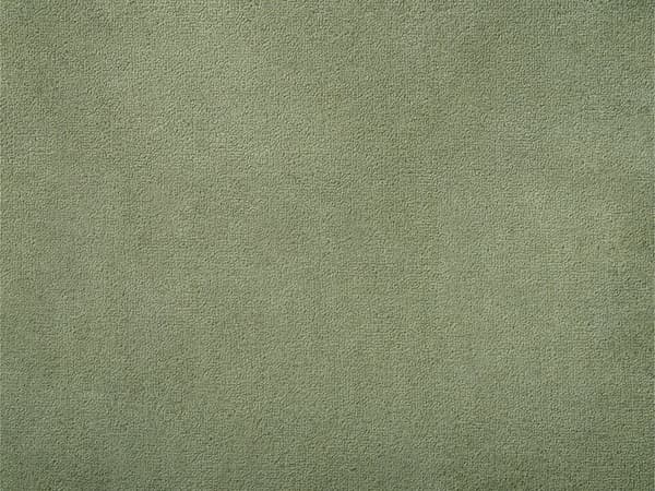 Fleecetæppe Grøn Polyester 150 x 200 cm Blød Hyggetæppe til Sofaen Plaid til Seng Dekoration Moderne Tilbehør Varm Tæppe