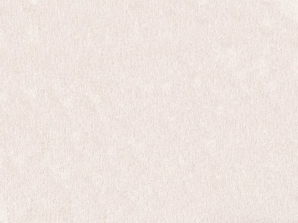 Pledd Off White Polyester 150 x 200 cm Mykt Moderne design Sengeteppe Dekorativt Tilbehør Tekstiler Soverom Stue