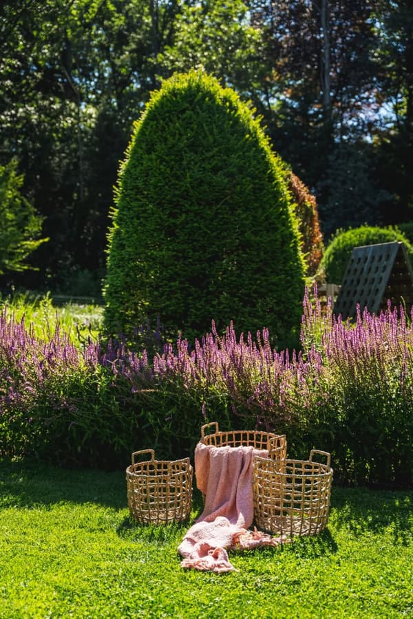 Le Sil Vous Plaid - Laks Pink