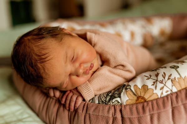Bambus Baby Cocoon - Forest Paradise, grå