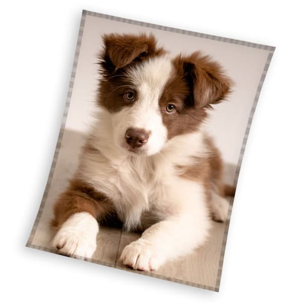 Fleecefilt 150x200 Hund