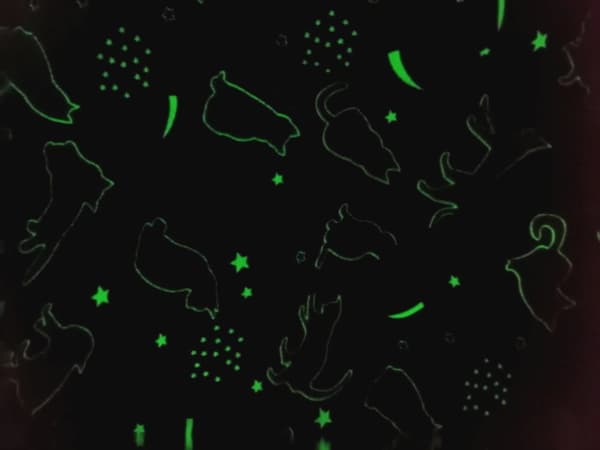 Pimeässä hohtava peitto 150x200 Värikkäät fluoresoivat kissat