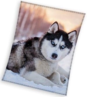 Fleece tæppe 150x200 Husky hund
